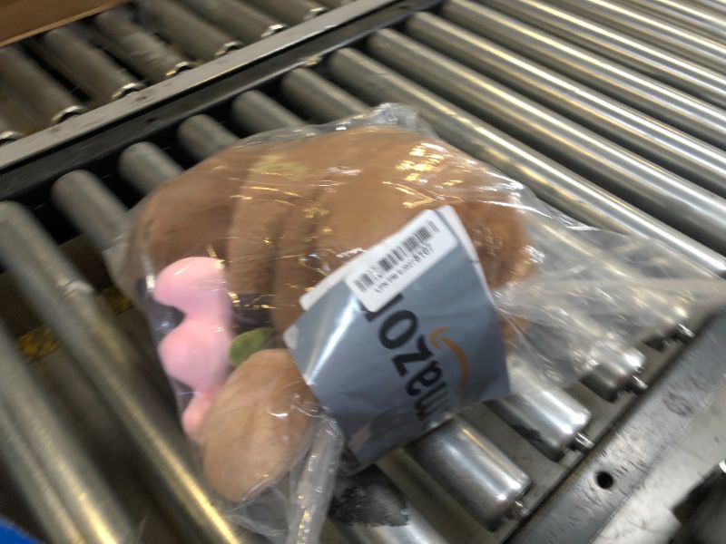 Photo 1 of JZNEXD 12 Inch Capybara Plush Toy, Large Cute Capybara Stuffed Animal Plushie Soft Peluche Pillow with Keychain Set for Kids Boys Girls (Flower)