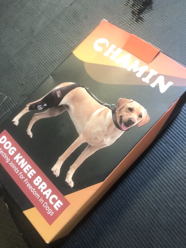 Photo 1 of CHAMIN Adjustable Dog Knee Brace with Extra Collar, Support for Torn Acl Hind Leg, Tear Ligament, Osteoarthritis,Rear Leg Limp, Recovery After Surgery,et(Right Leg,M)