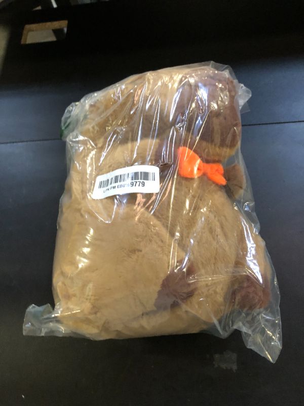Photo 1 of Arkdorz Cute Birthday Capybara Plush,12inch Kawaii Capybara Stuffed Animal Soft Stuffed Toy Birthday Gifts Party Decoration for Kids