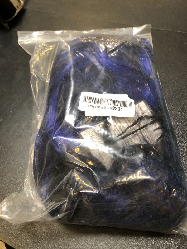 Photo 1 of BLACK AND BLUE WIG