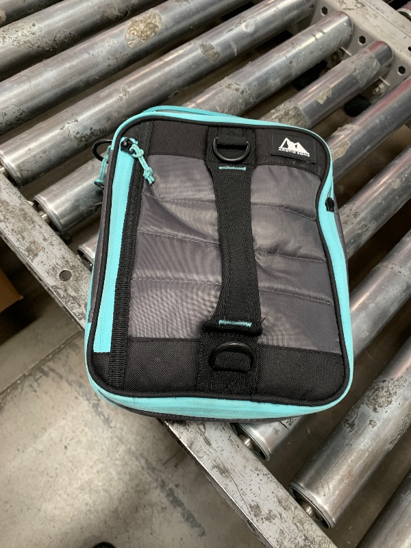 Photo 1 of 
Reviewers highlighted: lunch, size
Arctic Zone
Arctic Zone High Performance Ultimate Expandable Lunch Bag, Gray