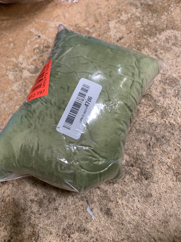Photo 1 of 1 MIDDLE ONE 2 Pack Small Pillow, Memory Foam Mini Pillow 11 X 7 Inches for Travel, Sleeping, Nap and Neck, Knee, Lumbar Support, Tiny Pillow Cushion for Pet, Dogs (Sage Green)