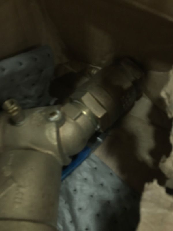 Photo 1 of Zurn 2-950XL Backflow Preventer, Gold