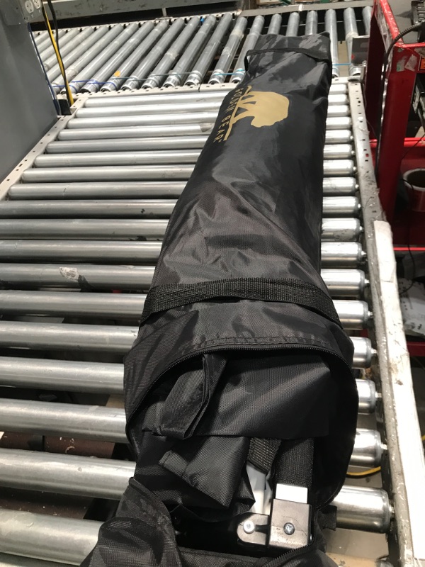 Photo 1 of **FINA SALE** Golden Bear Coronado 10'x10' Straight-Leg Canopy
