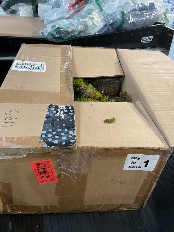 Photo 1 of ***(MINOR DAMAGE/ SEE NOTES)***prefleur Preserved Reindeer Moss Natural Green DIY Kit Gardenning Art Wall Decor Florist Decor Easter Table Decor Wedding Decor (0.85lb)(Green-06)