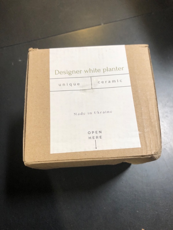 Photo 1 of DOMIVKA Small Head Planter Ceramic Face Planter Pots Succulent Pot Unique Planters for Indoor Plants, Gift for Plant Lovers - Great for Succulents Fun Planters Cute Pots with Drainage (White)