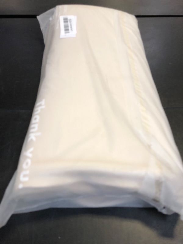 Photo 1 of Pee Pad Tray Holder for Dogs - No Spill Raised Lip High Edge Silicone Mat, Extra Thick and Non-Slip for Indoor Floor Protection, Fits Up To 25 x 25 in. Square Potty Training Pads (Large, Beige) | eenk