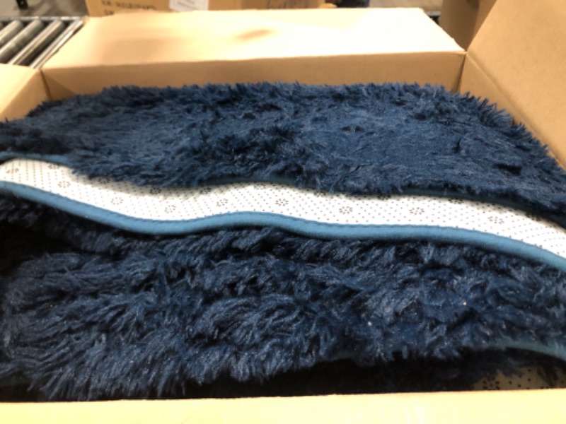 Photo 1 of BLUE LARGER RUG