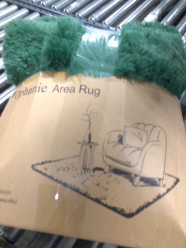 Photo 1 of Ophanie Upgrade 4x6 Rugs for Bedroom, Green, Fluffy Shaggy Soft Area Rug, Green Non-Slip Indoor Floor Carpet for Living Room, Kids Baby Boys Teen Dorm Home Decor Aesthetic, Nursery