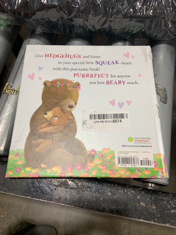 Photo 1 of I Love You Like No Otter: A Funny and Sweet Picture Book For Toddlers (Punderland)