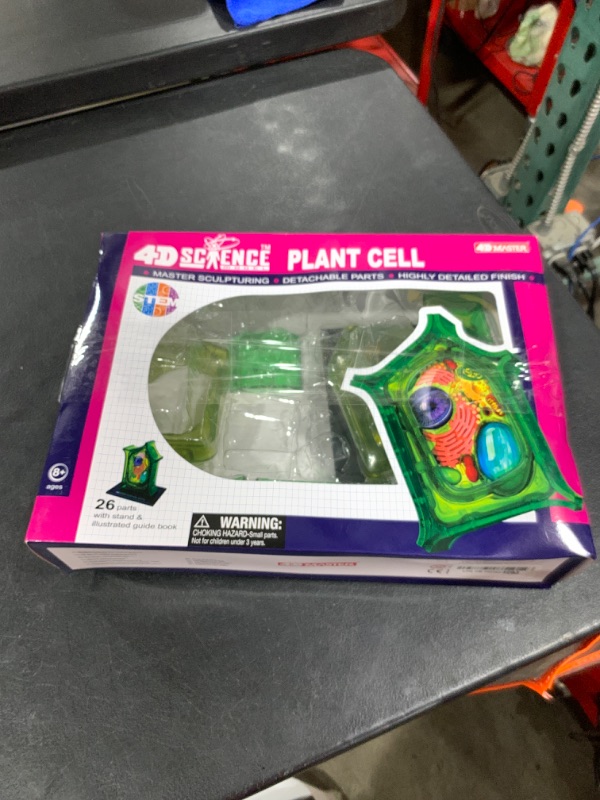 Photo 1 of Famemaster 4D-Science Plant Cell Anatomy Model