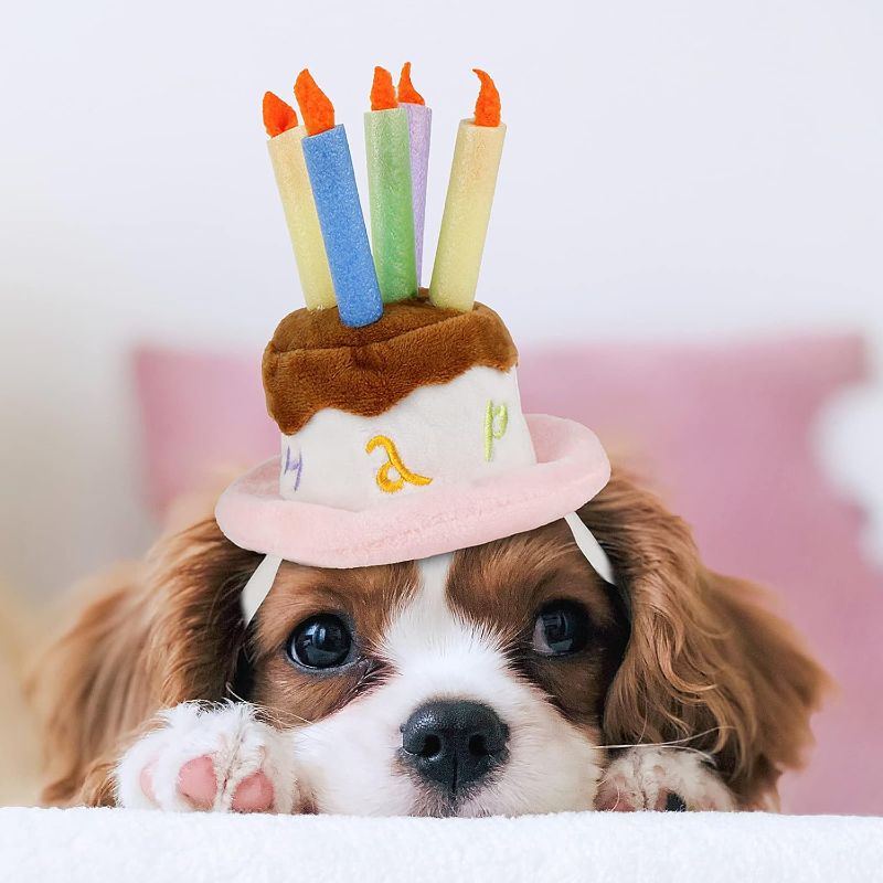 Photo 1 of Cake Hat