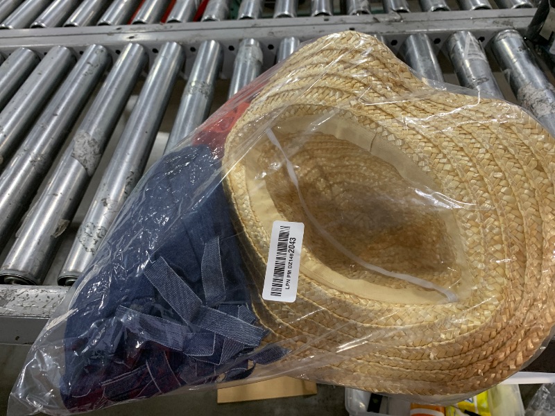 Photo 1 of Luffy Outfit