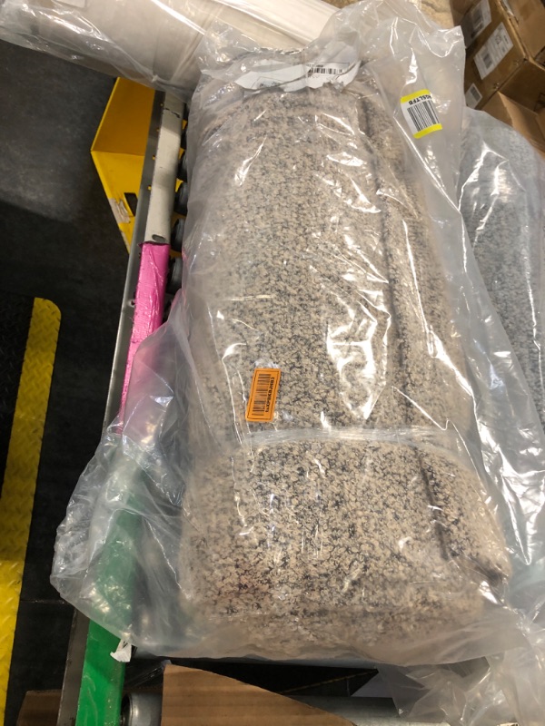 Photo 1 of Télio Curly Cue, Shell