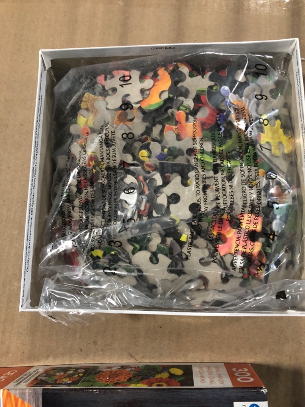 Photo 1 of Ceaco - Orange Rhapsody - 300 Piece Jigsaw Puzzle