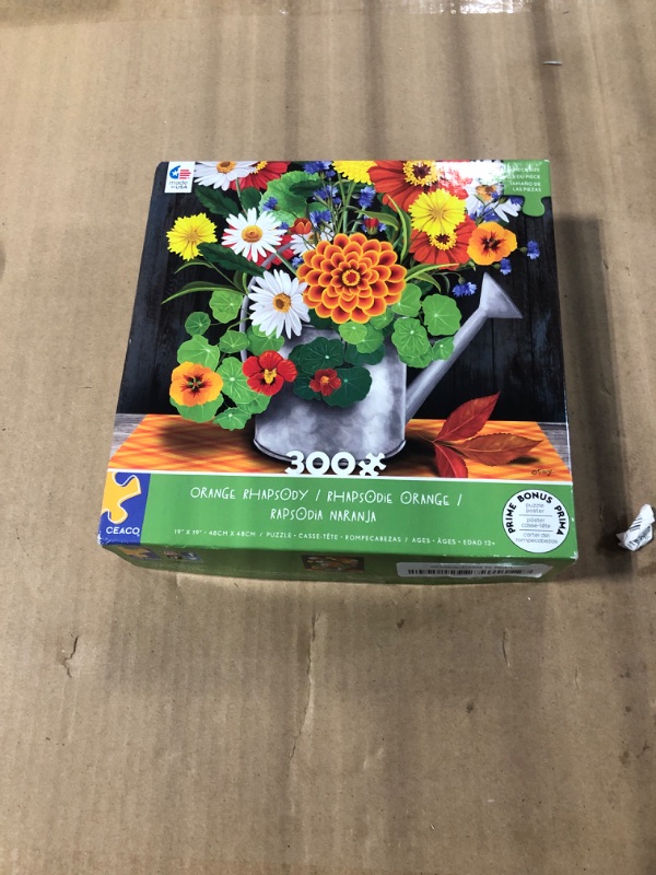 Photo 1 of Ceaco - Orange Rhapsody - 300 Piece Jigsaw Puzzle