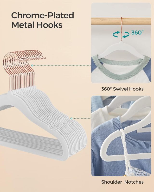 Photo 1 of 50 velvet hangers
