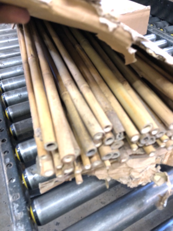 Photo 1 of 50 Pack 8ft Bamboo Plant Stakes for Wood Garden Sticks?Wooden Plant Supports?Bamboos?Bamboo Trellis?Crafts, More Size Choices 8"/12"/16"//2'/3'/4'/5'/6'/8'