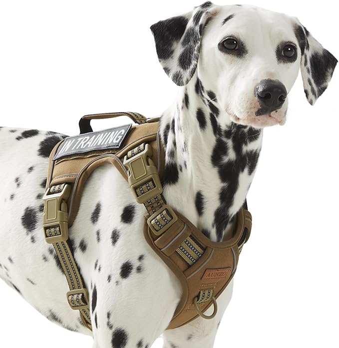 Photo 1 of Non Pulling Tactical Dog Harness for Medium Dogs, Adjustable Reflective Harness Vest with Handle, for Working Training Hiking Walking, Escape Proof Army Green Pet Vest for M Sized Dog