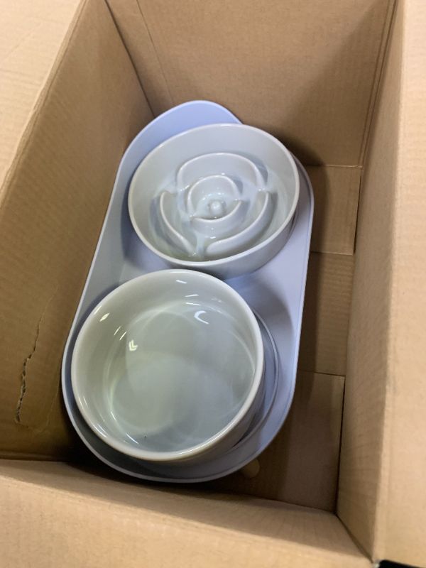 Photo 1 of pet food bowl with overtray 