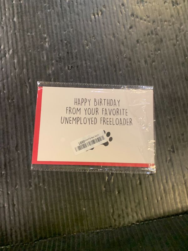 Photo 1 of CENTRAL 23 - Funny Birthday Card - 'Happy Birthday To My Otter Half' - For Boyfriend Girlfriend Wife Husband Fiance - Cute Animal Humor - Comes with Fun Stickers