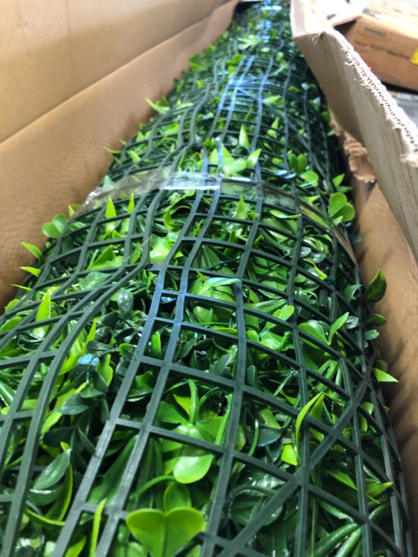 Photo 1 of Artificial Boxwood Roll Wall Cover