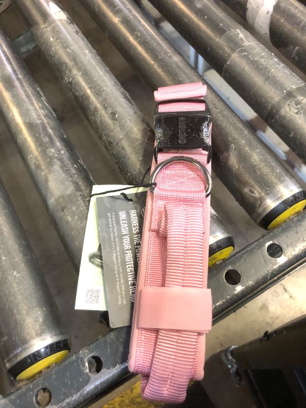 Photo 1 of LARGE DOG COLLAR