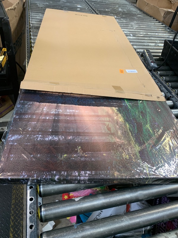 Photo 1 of Large size wall canvas 