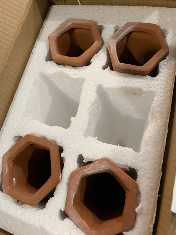 Photo 1 of (missing 2) Upforesy 6 Pack Terracotta Watering Spikes for Indoor and Outdoor Plants - Simple and Easy Setup -