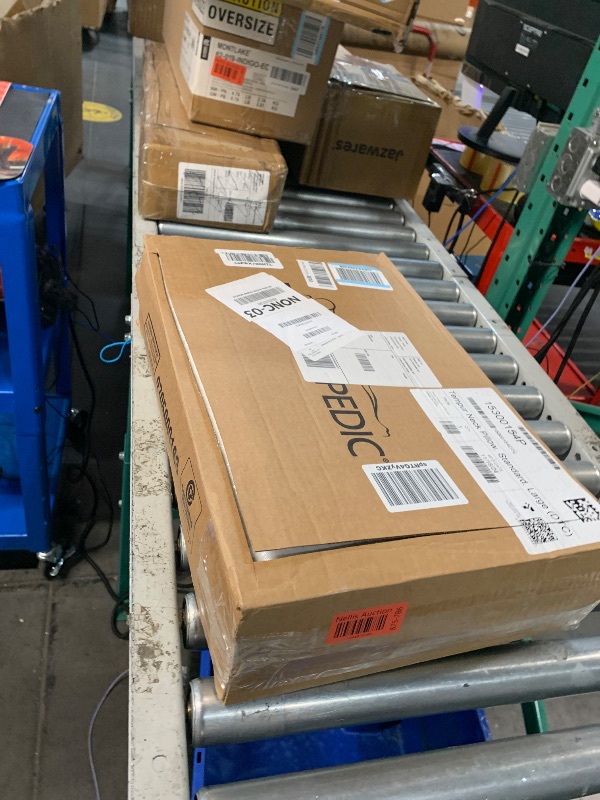 Photo 1 of Tempur-Pedic TEMPUR-Ergo Neck Pillow, Large Profile, White