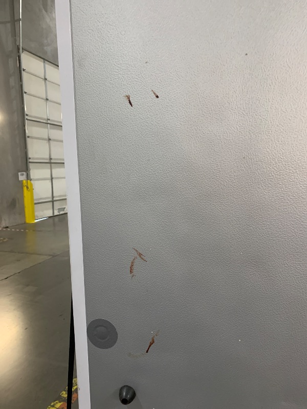 Photo 1 of *VERY DIRTY AROUND THE FREEZER*
12 Cu. ft. Commercial Reach in Freezer in White Manual Defrost (KM-FMD12WH)
