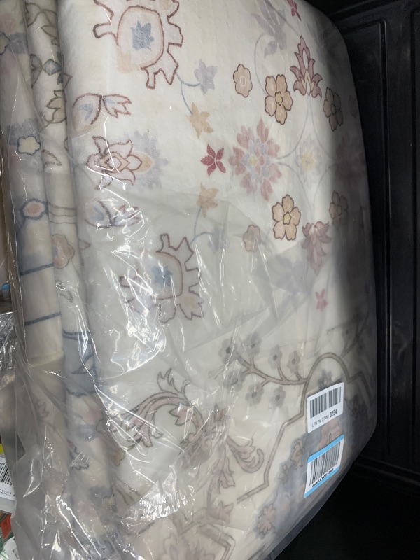 Photo 1 of area rug 