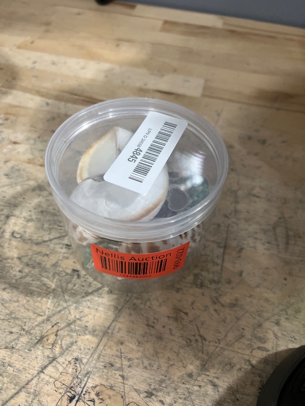 Photo 1 of 15PCS Hermit Crab Shells Include Small & Medium and Large (6 Types) Natural Seashells, for Hermit Crab Supplies and Replacement Sea Shells