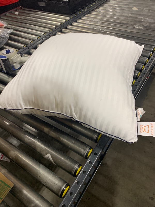 Photo 1 of Polyester Pillow 24 x 24