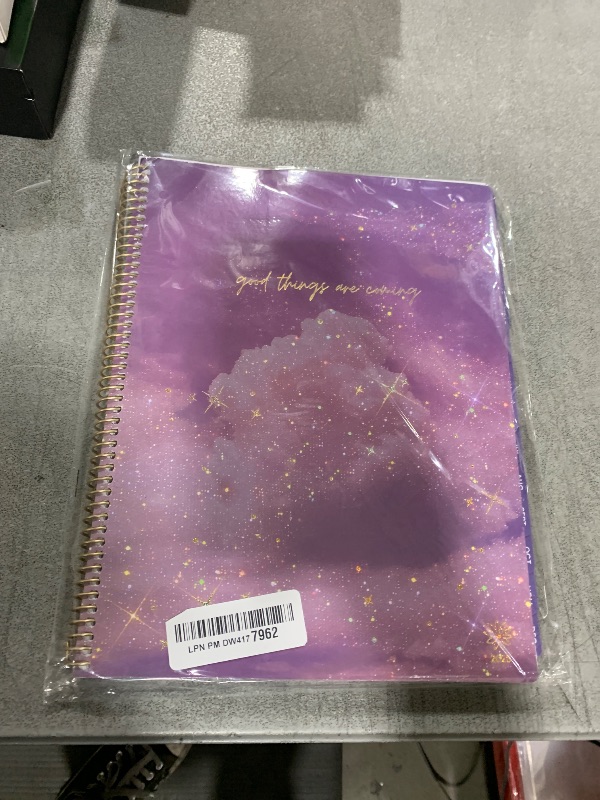 Photo 1 of bloom daily planners 2025 (8.5" x 11") Calendar Year Day Planner (January 2025 - December 2025) - Weekly/Monthly Dated Agenda Organizer with Stickers & Tabs - Good Things Are Coming