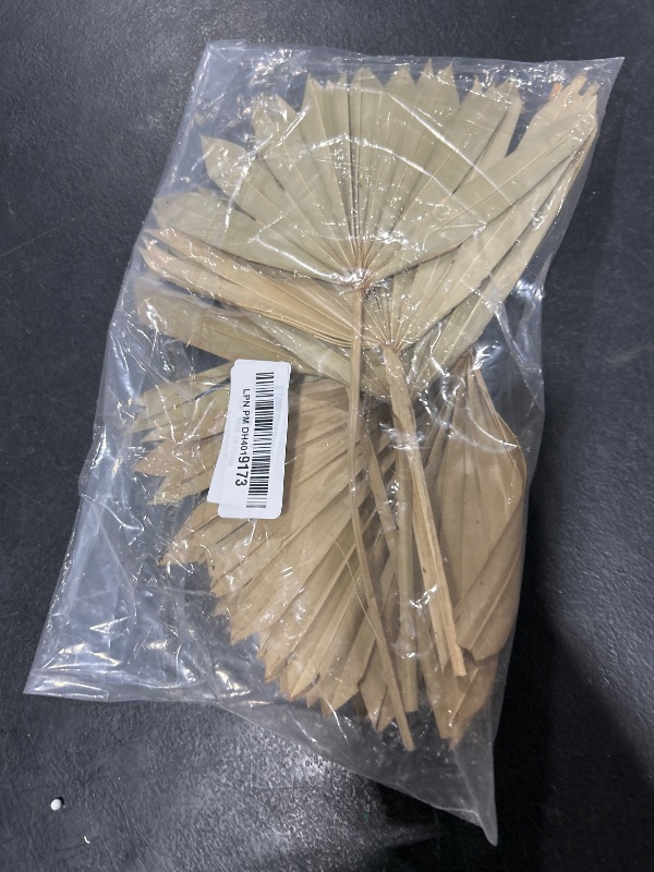 Photo 1 of Chenkaiyang 10 Pieces Large Dried Palm Leaves Decor Sun Palm Natural Dried Palm Fans Dried Palm Spears Gold Palm Leaf Dried Plants for Boho Wedding Bouquets Home Leaf Party Decorations( 10 Pieces )