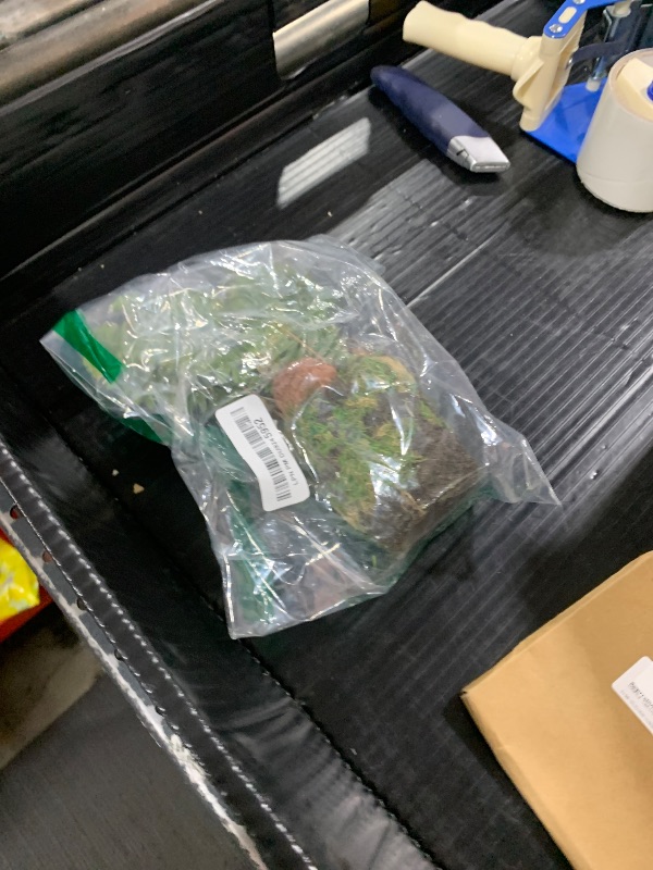 Photo 1 of NAPA Home & Garden Boston Fern Drop-in 9"