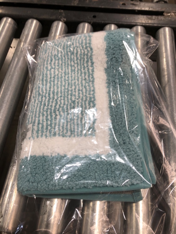 Photo 1 of OLANLY Bathroom Rugs 24x16, Extra Soft and Absorbent Microfiber Bath Mat, Non-Slip, Machine Washable, Quick Dry Shaggy Bath Carpet, Suitable for Bathroom Floor, Tub, Shower (Small, Light Blue)