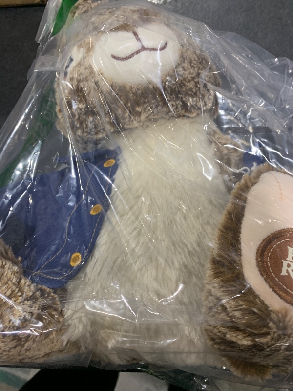 Photo 1 of Animal Adventure | Peter Rabbit and Flopsy| Collectible 10" Sitting Plush