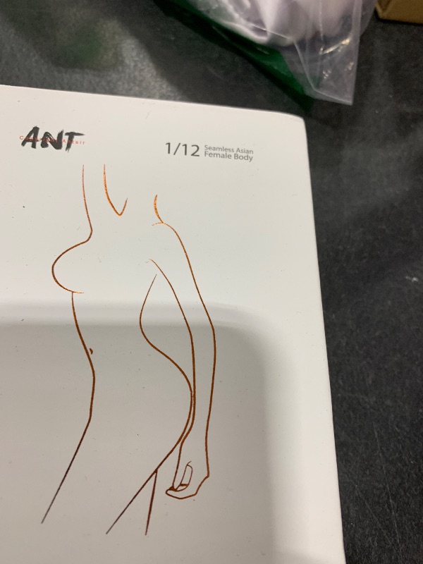 Photo 1 of 1/12 Scale Female Body,6inch Super Flexible Seamless Female Action Figure Body with Detachable Feet Tall and Slender Miniature Figure No Head Sculpt (Pale Skin)