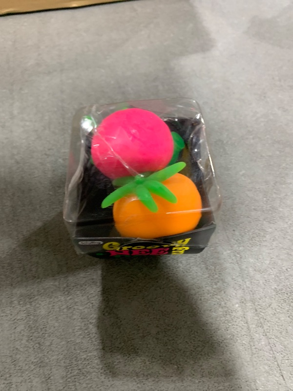 Photo 1 of Schylling NeeDoh Groovy Fruit - Sensory Fidget Toy - Multiple Shapes - Ages 3 to Adult (Pack of 1)