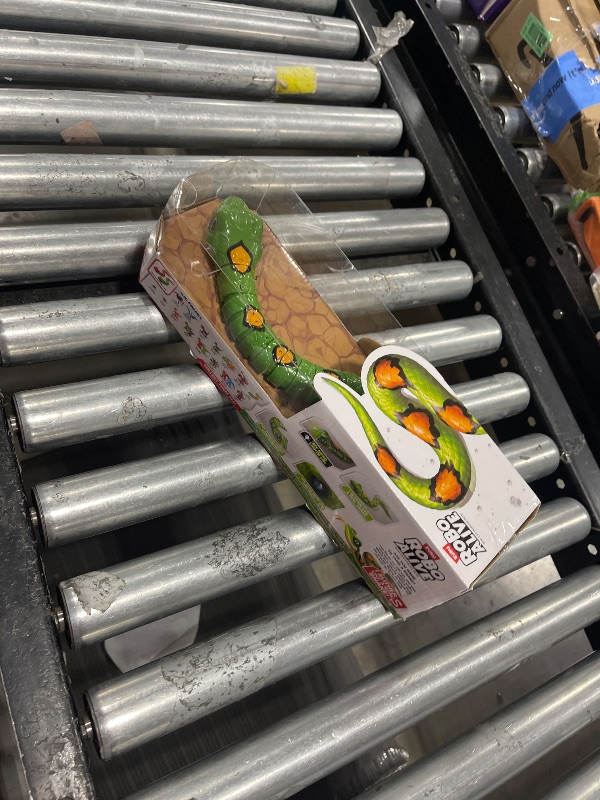 Photo 1 of Robo Alive Slithering Snake Series 3 Green by ZURU Battery-Powered Robotic Light Up Reptile Toy That Moves (Green),7150B