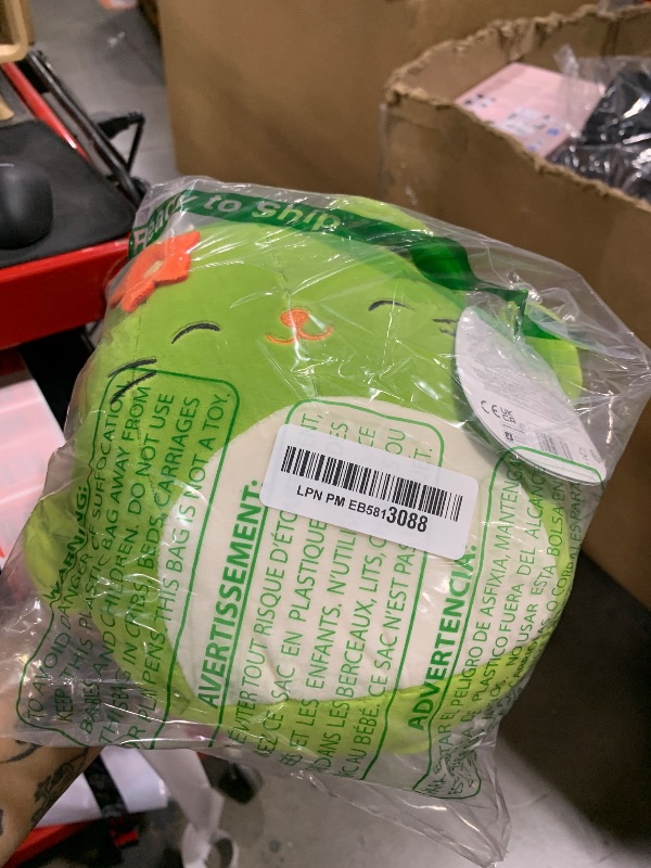 Photo 1 of Squishmallows Original 8-Inch Ms. Miss Green Cactus Cat - Official Jazwares Plush (Little)