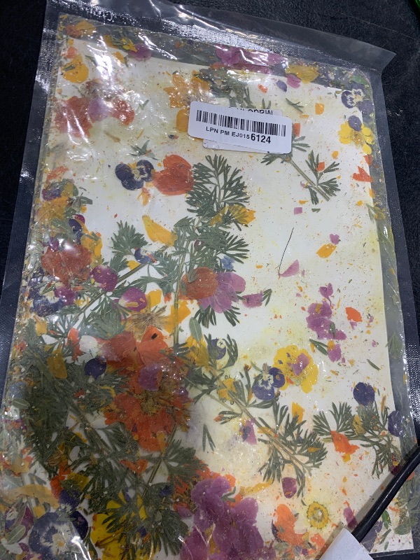 Photo 1 of 48 Pcs Mix Natural Dried Pressed Flowers for Cake Decorating, Real Dry Flower for Resin Jewelry Making, DIY Art Crafts - Muticolor