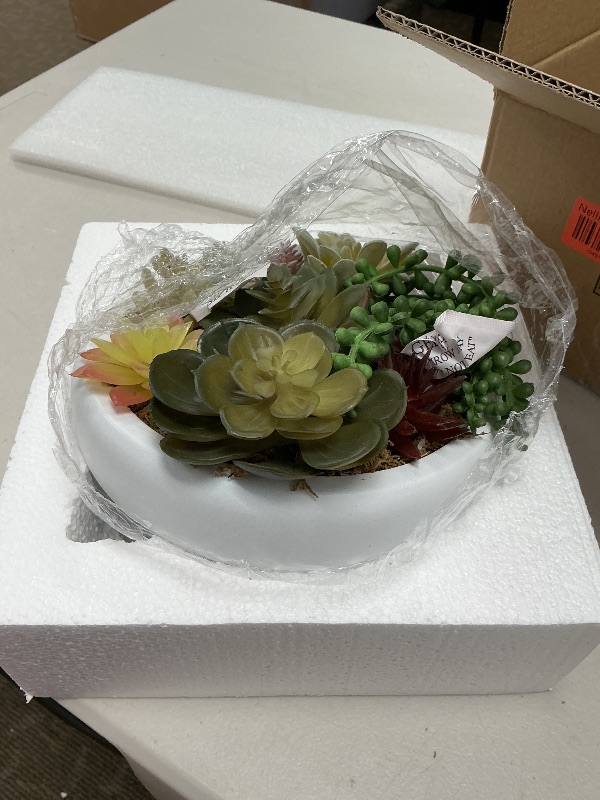 Photo 1 of MyGift 8 Inch Round Modern Artificial Succulent Arrangement Potted in White Concrete Plant Bowl, Assorted Faux Mini Succulents in a Decorative Planter Pot