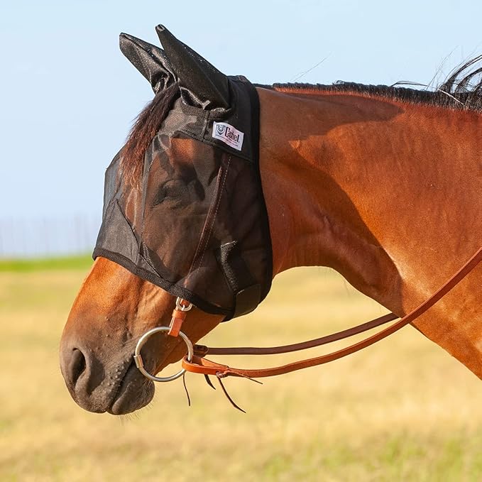Photo 1 of TGW horse fly mask with ear coverage black 