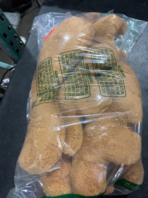 Photo 1 of TEDDY BEARS 