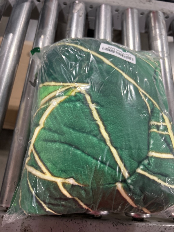 Photo 1 of Botanical Leaf Blanket Gifts for Women Men Soft Warm Lightweight Cozy Green Palm Plant Throw Blankets for Bed Living Room Sofa Travel Home Decor 50"x60"