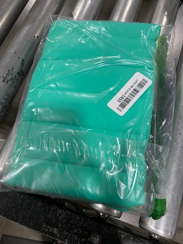 Photo 1 of Puffy Laptop Sleeve 13-14 Inch Light Green, Protective Carrying Case for Men and Women, Cute Case Bag Compatible with 13 and 14 Inch Laptops, for MacBook Air M2, Asus/Dell Xps in Cover