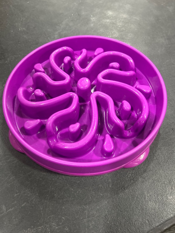 Photo 1 of Outward Hound Fun Feeder Slo Bowl, Large Slow Feeder Dog Bowl, 4 Cups, Purple